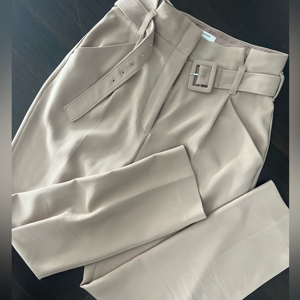 Aritzia Babaton pleated trousers